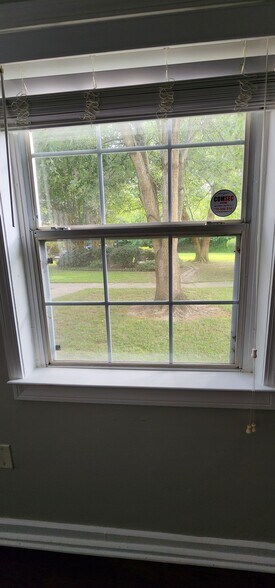 View from living room to lawn - 415 Willow Ln