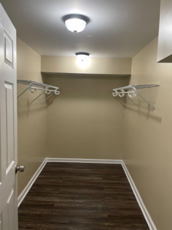 Building Photo - 3316 Cocoa Dr