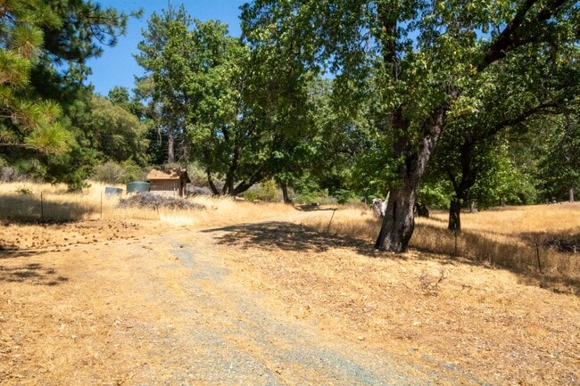 Building Photo - Charming Lindal Cedar Home on 10 Acres