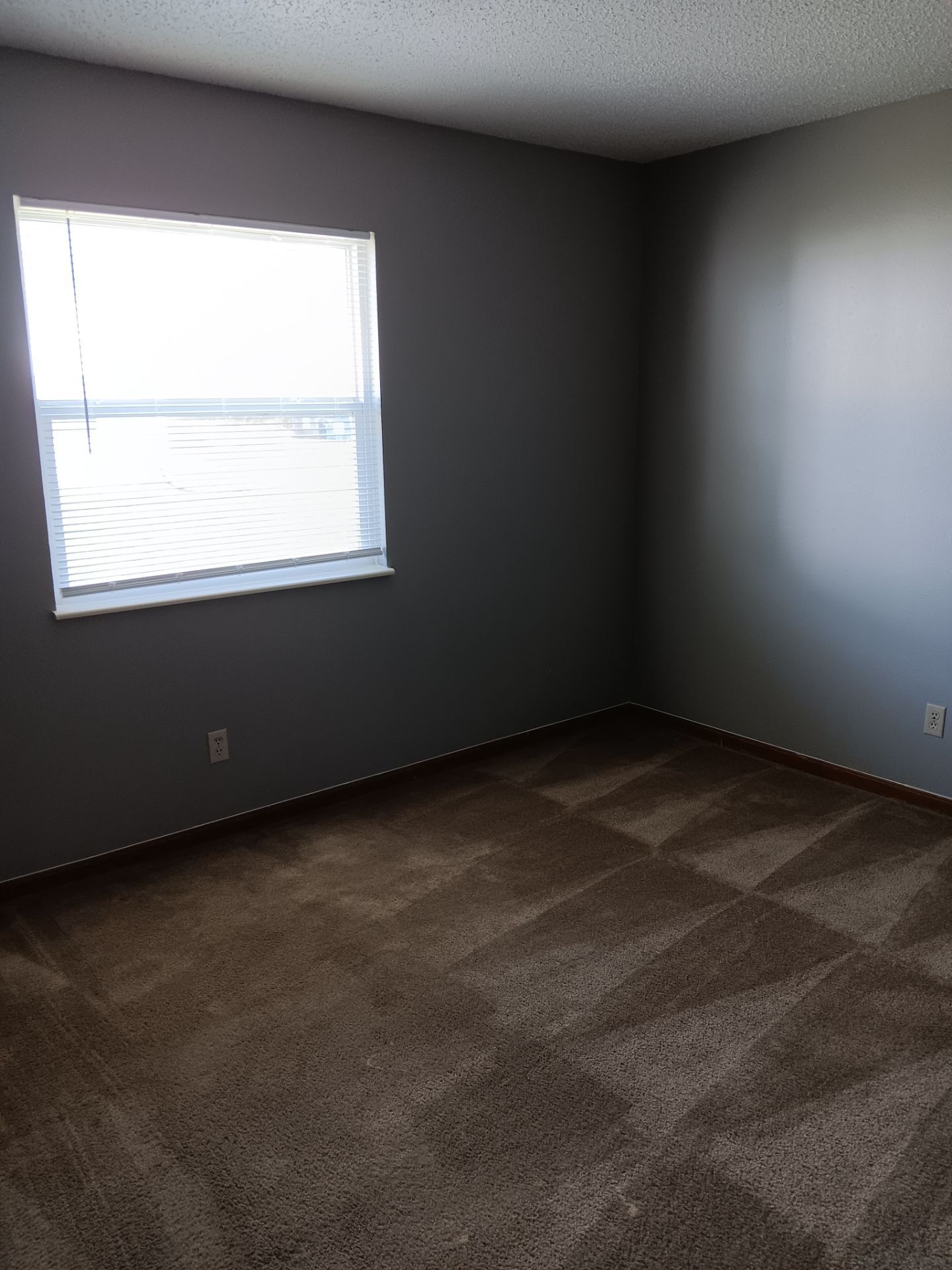 Building Photo - 461 Cedarview Ct