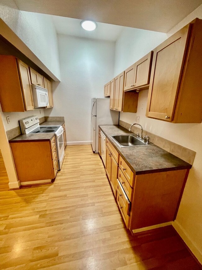 Building Photo - Ground Floor- St. John's One Bedroom One B...