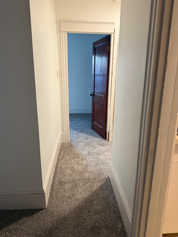 Building Photo - 52-52 Myrtle St