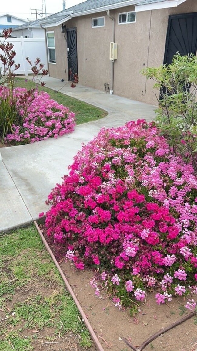 Building Photo - 1 Block from the Beach! Apartment Home in Ocean Beach! Private Garage! Private Patio!