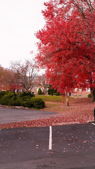 Primary Photo - Wynnefield Court Apartments