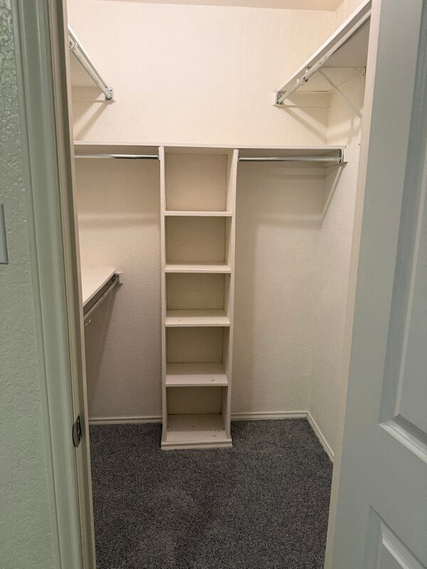 Building Photo - 903 Teakwood Ln