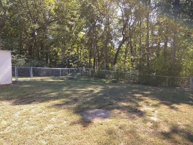 Back yard - 3208 Joselin Ln