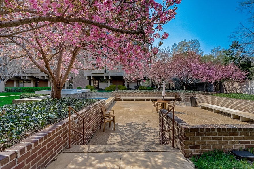 Gorgeous Garden Grounds - 240 M St SW