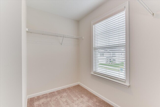 Building Photo - 6051 Big Pond Trl