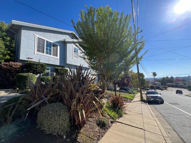 Building Photo - 3833 Brookdale Blvd