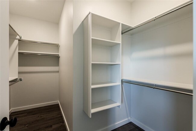 Building Photo - 1037 Carpe Diem Ct