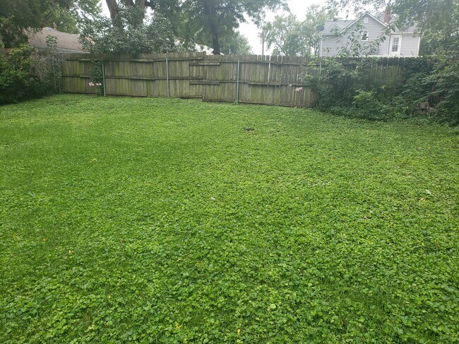 fenced backyard - 411 W Linden Ave