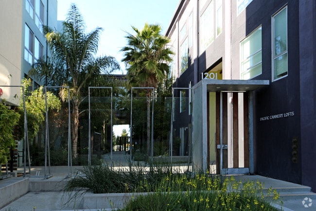 Building Photo - Pacific Cannery Lofts
