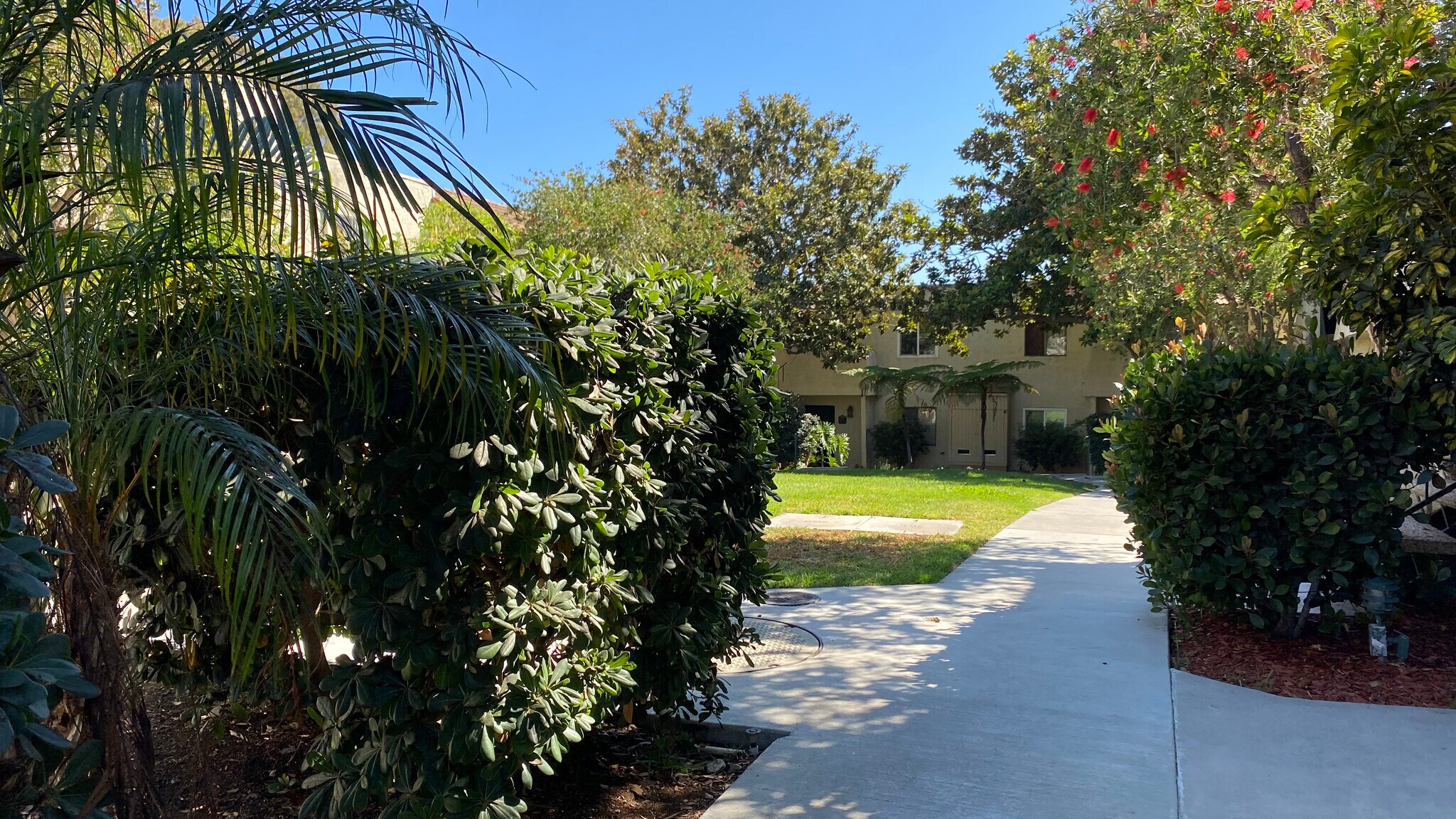 Lush Pathway to Condo - 6474 Cavalleri Rd