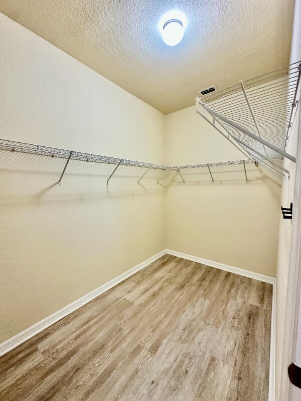 Building Photo - 13230 Amerigo Ln