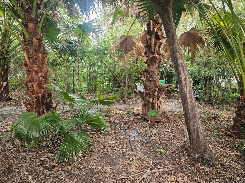 Private lawn area - 2326 Esplanade Ave