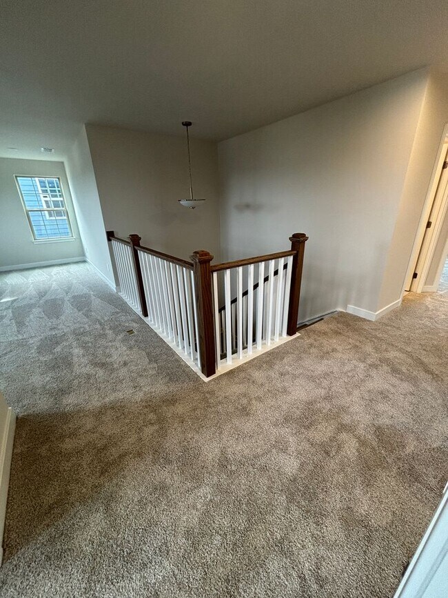 Building Photo - Luxury- New Construction