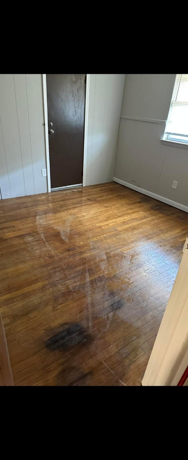 Building Photo - 3036 Lee Ellen Pl