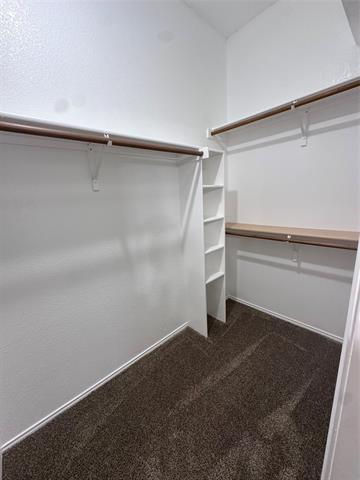 Building Photo - 10113 Noel Dr