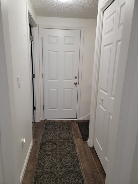 Lower Level Hallway - 4557 Scott Trl