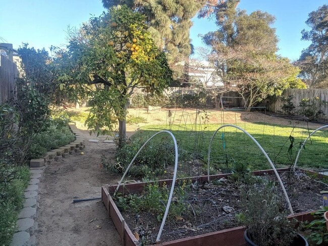 Building Photo - Del Mar Heights Home - West of the 5