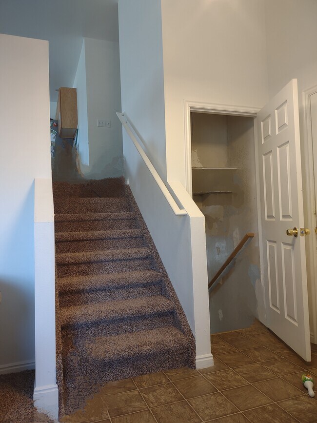 The house has stairs but they are all carpeted. - 241 Sunstone Cir