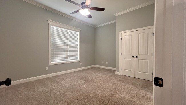 Building Photo - 4800 Brown Cat Cir