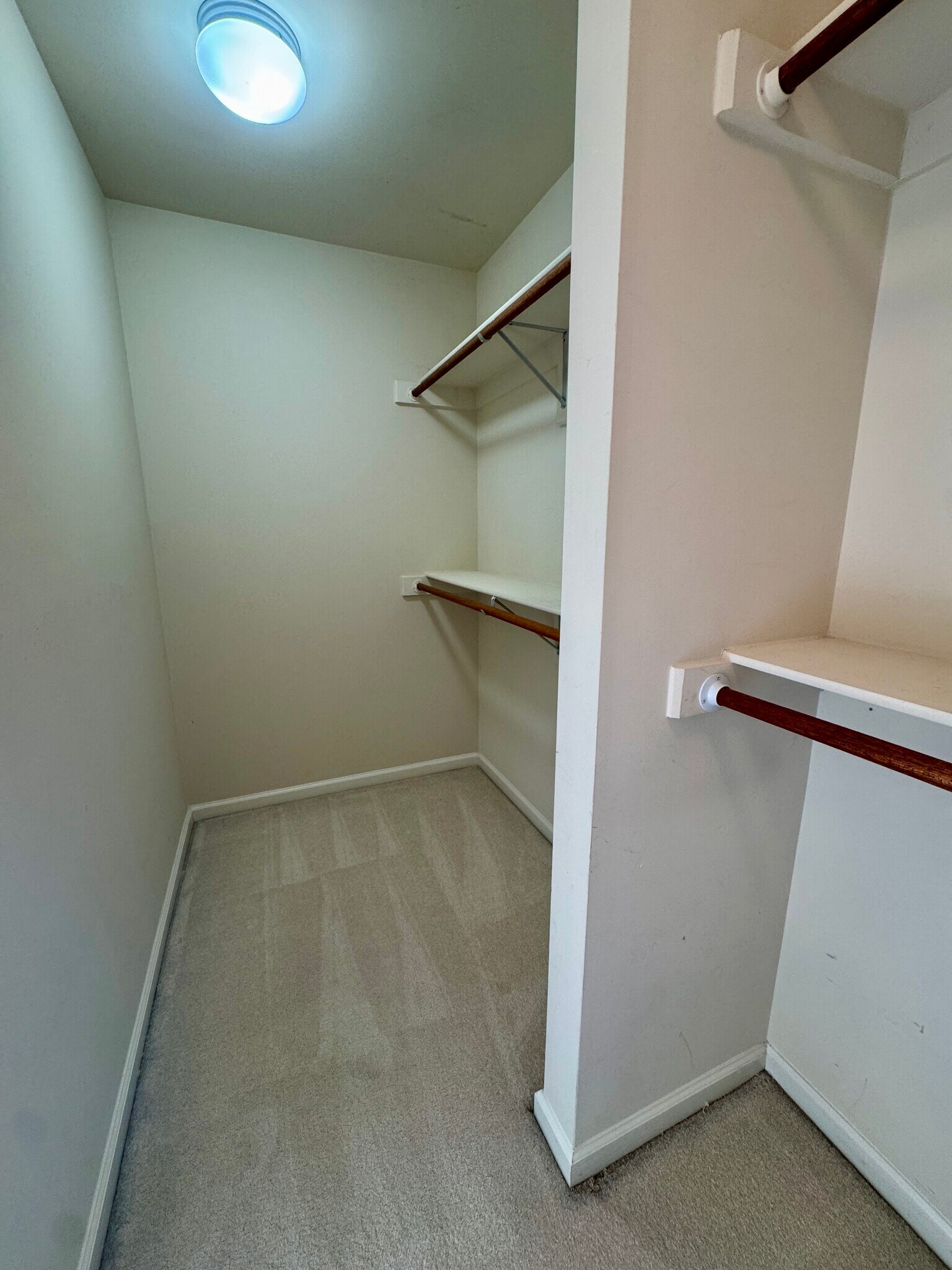 Building Photo - 503 Casey Ln