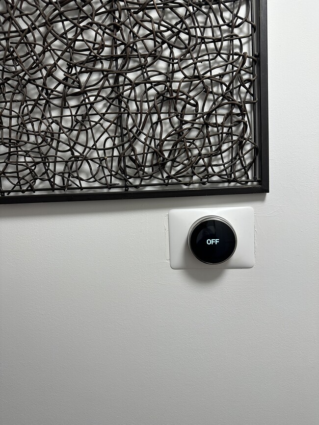 Nest Thermostat - 7420 Boulevard East