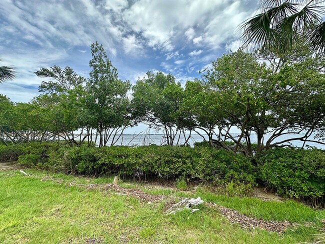 Building Photo - 2617 Cove Cay Dr