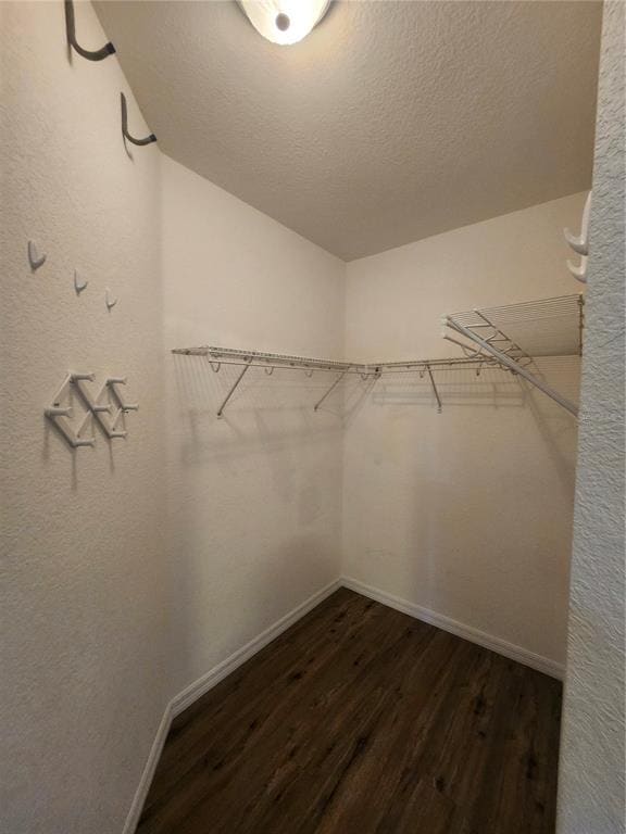 Building Photo - 2061 Willow Hammock Cir