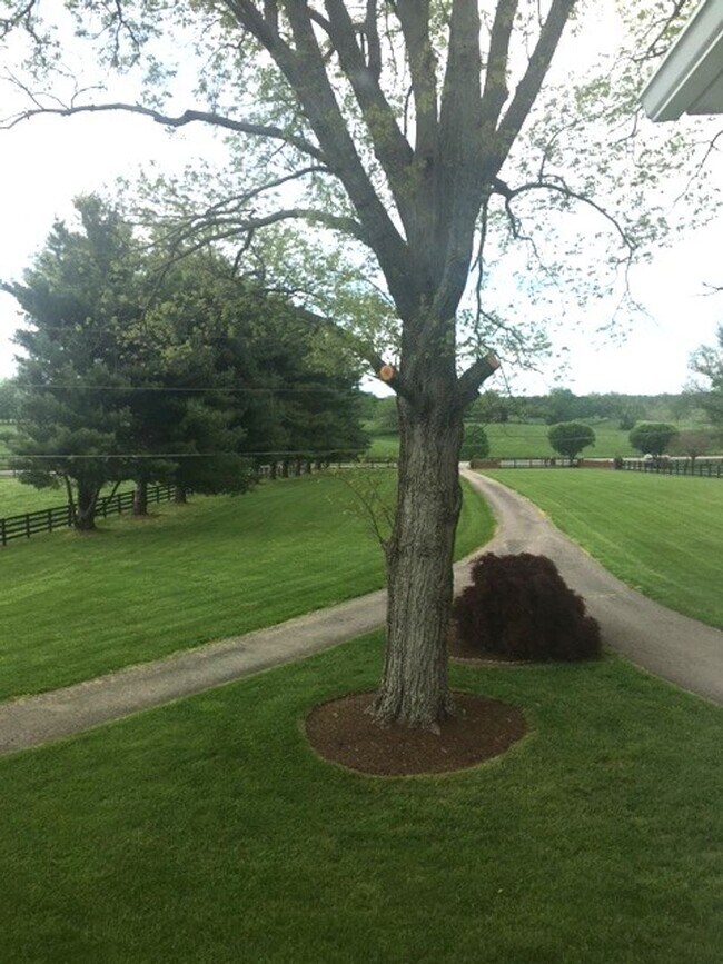 Building Photo - Kentucky mansion overlooking horse farm with stunning views    260323