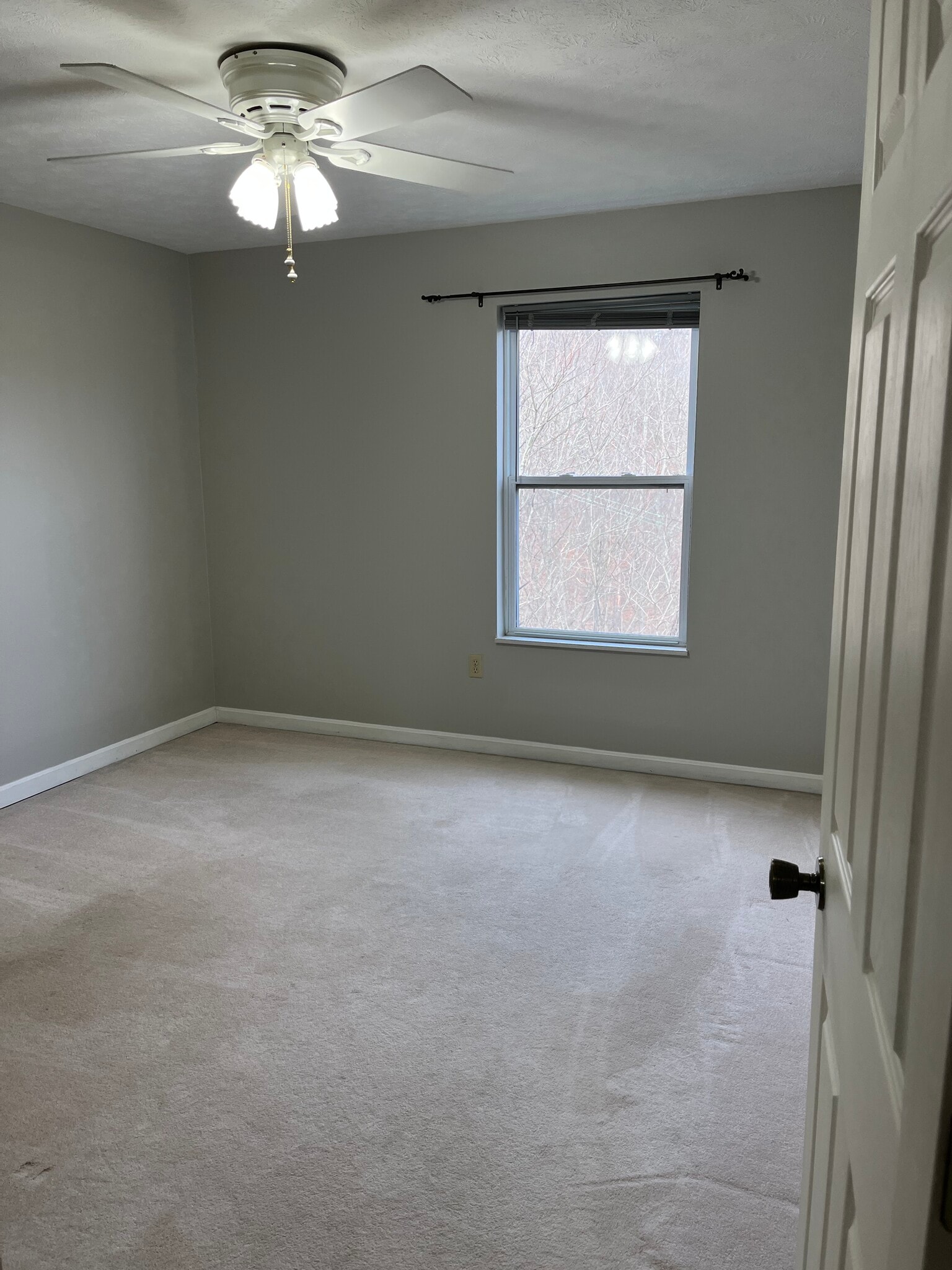 Building Photo - 312 Wildflower Ct