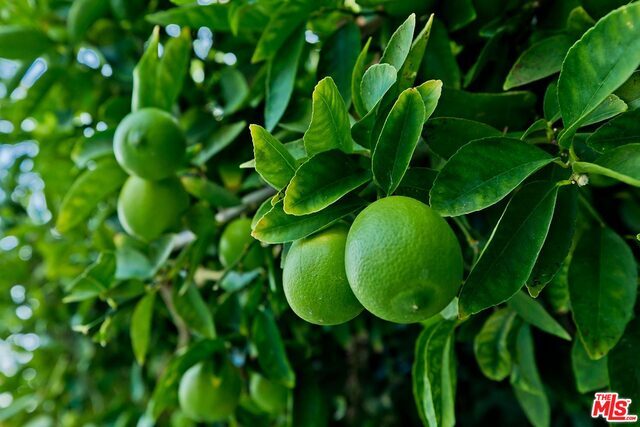 Building Photo - 3389 Wrightview Pl