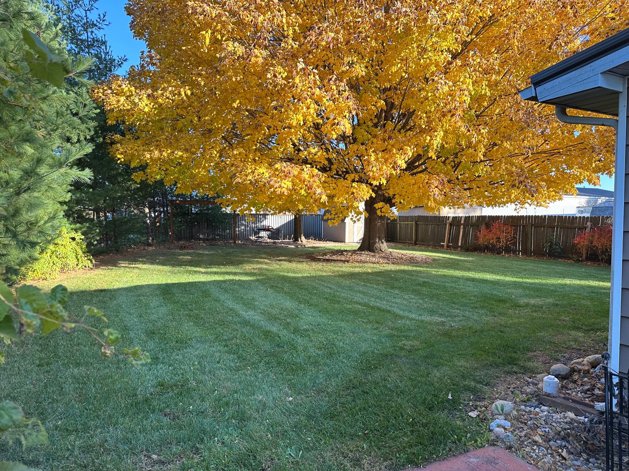 Back yard with 12 x 10 shed - 559 Fairview St