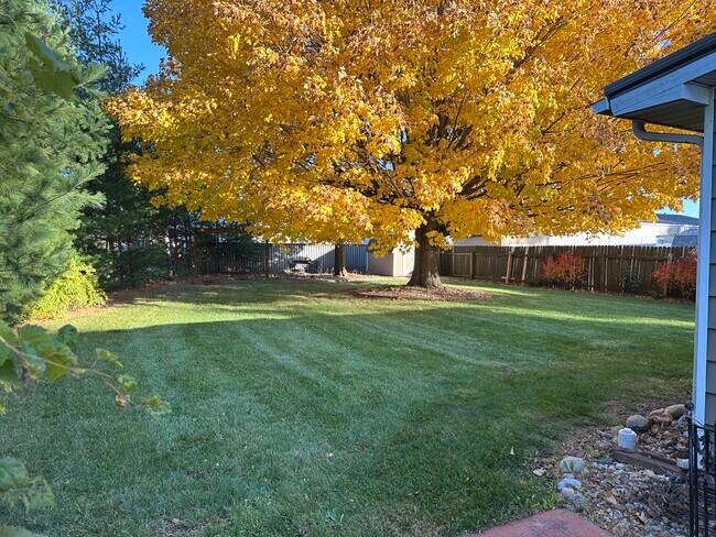 Back yard with 12 x 10 shed - 559 Fairview St