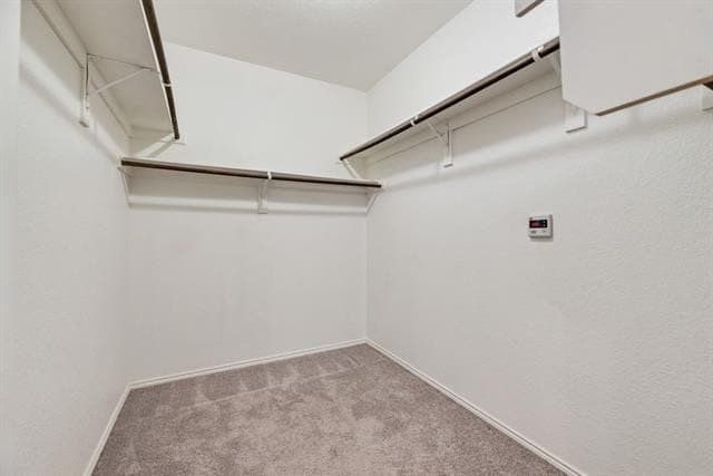 Building Photo - 1425 Bull St