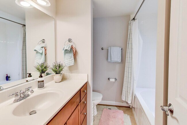 Building Photo - Light-filled 2bd/2ba right on S Four Mile Run $2850