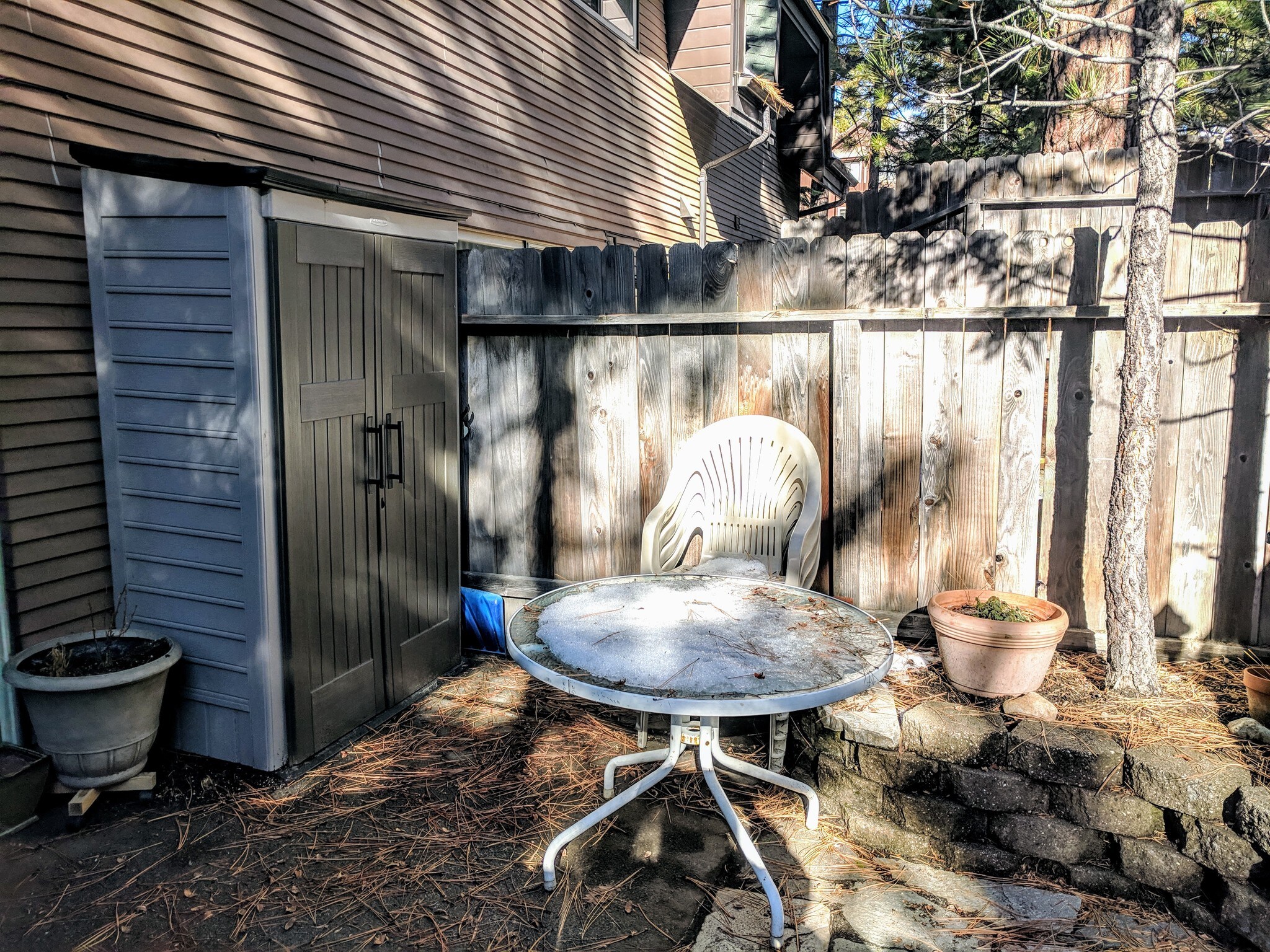 Back Patio w/Storage Shed - 845 Southwood Blvd