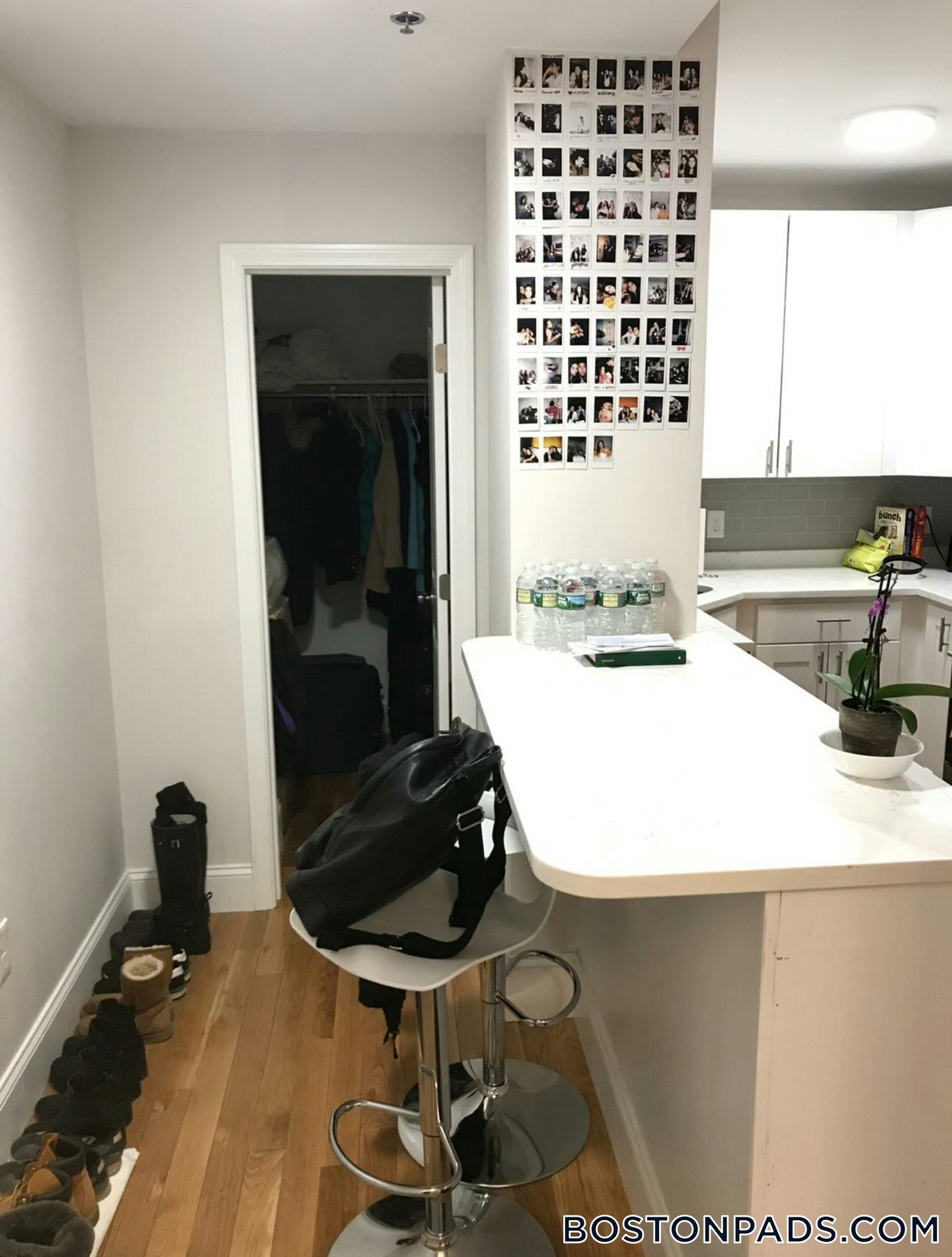 Building Photo - 91 Westland Ave