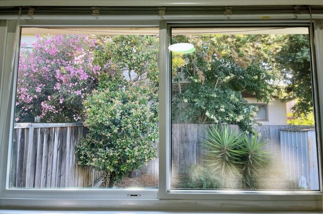 Bedroom view of backyard - 915 Gretchen Ln