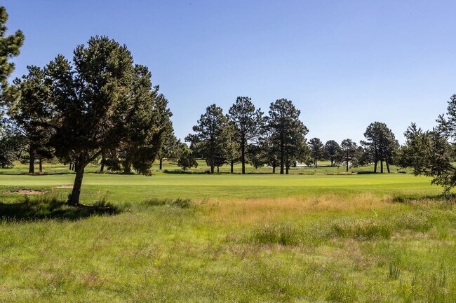 Building Photo - Ranch Style Home Located inside Kissing Camels!