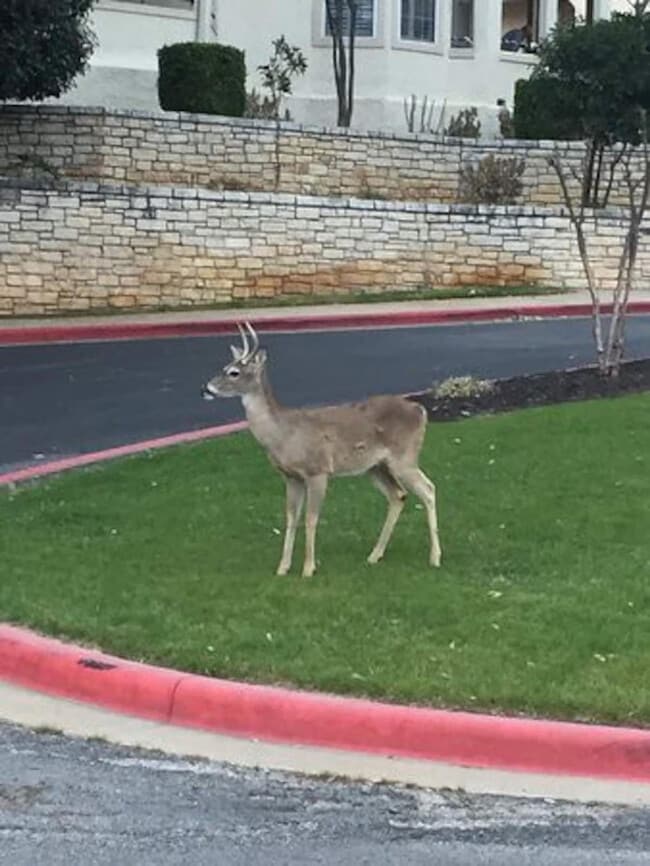 Building Photo - 3404 American Dr