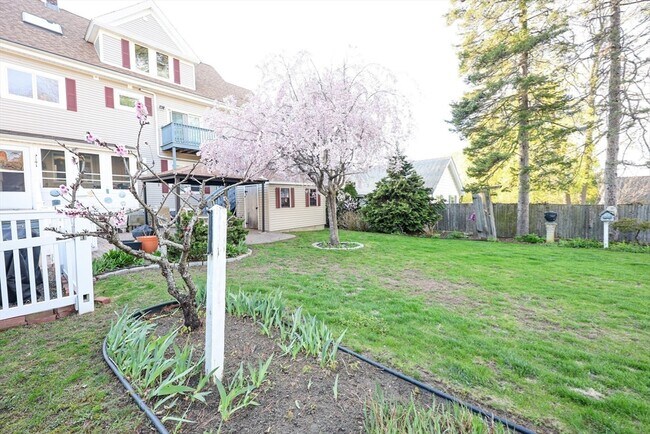 Building Photo - 19 Burton Terrace