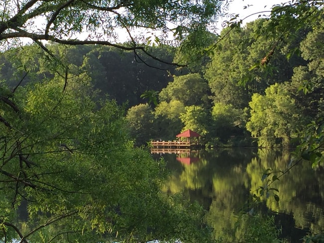 Building Photo - 7527 Broken Staff