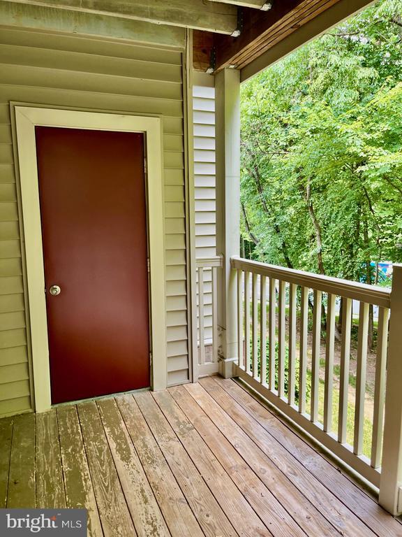 Building Photo - 11703 Olde English Dr