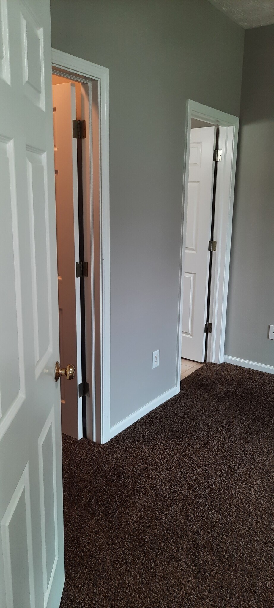 Building Photo - 3181 Stratus Ct