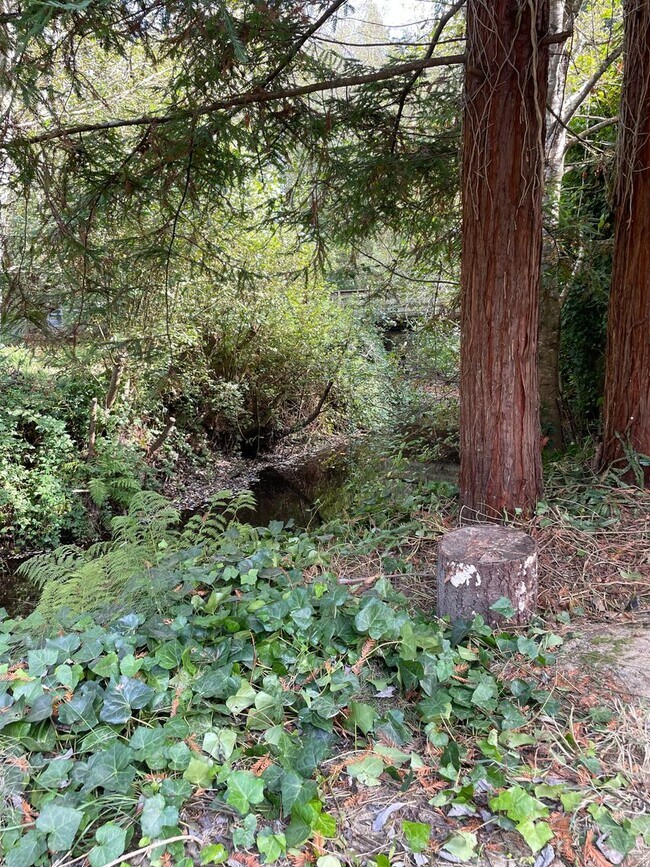 Building Photo - Cozy Bayside Cottage Tier 2