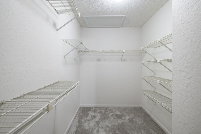 Building Photo - NEW PRICE! 3/2 Palm Harbor Townhouse