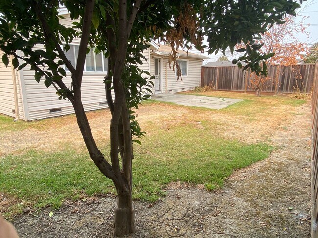 Building Photo - Newark 4 beds 2 baths Single Family House with Big Lot - showing 7/15 Wed 5pm