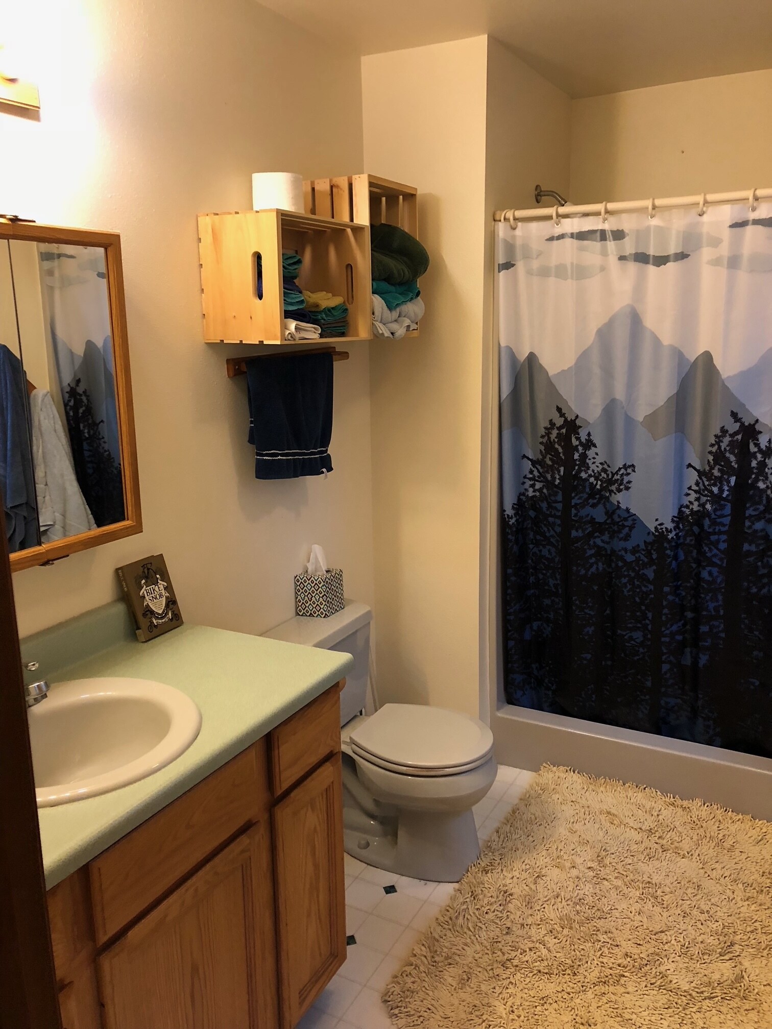 Bathroom - 1323 Mendenhall Peninsula Rd
